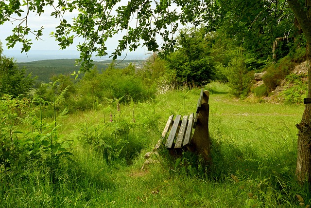 进攻端多次 进攻端多次