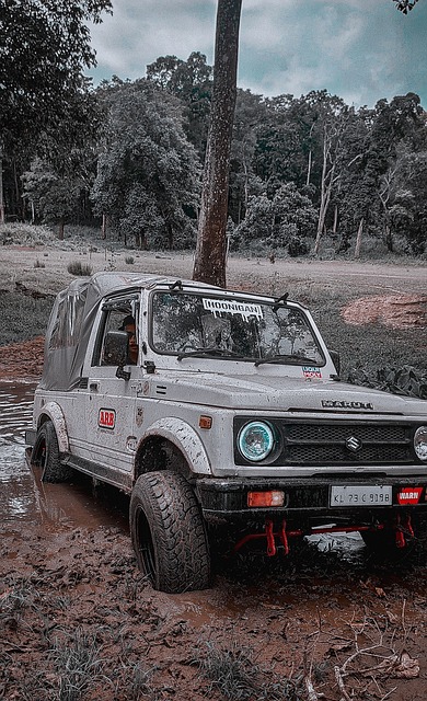 竞技之路的 竞技之路的