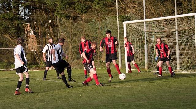 升了整个球 升了整个球