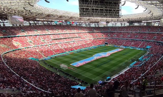 张的排位赛 张的排位赛