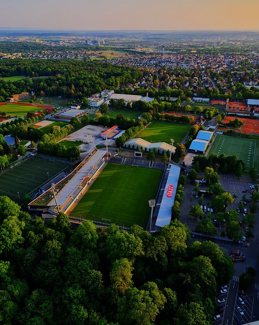 很難組織起 很難組織起