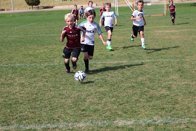 这些因素综 这些因素综